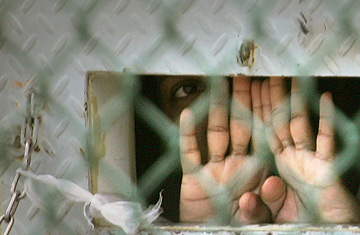 Guantanamo Detainee